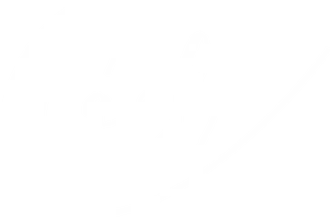 The Carl Institute